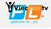 Logo Công Ty Cổ Phần Cung Ứng Nhân Lực Quốc Tế Polimex