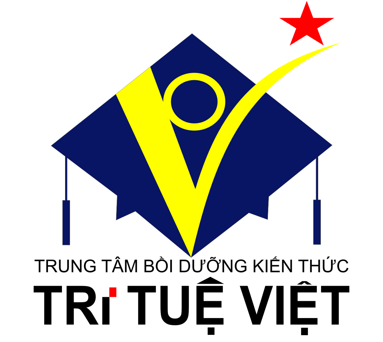 Logo Công Ty Cổ Phần Đào Tạo Và Phát Triển Trí Tuệ Việt