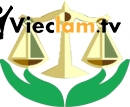 Logo CÔNG TY TNHH TƯ VẤN QUẢN LÝ MINH ANH