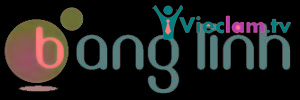 Logo The Thao Va Giai Tri Bang Linh Joint Stock Company