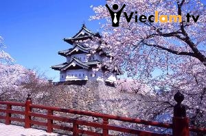 Logo Công ty TNHH Đào tạo Shin Shou