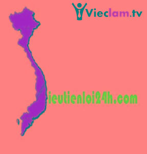 Logo Sieu Tien Loi 24h.Com Joint Stock Company