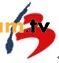 Logo Van Chuyen Bangda LTD