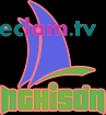 Logo Nghisonfoods