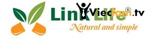 Logo Link Life Chi Nhanh Ha Noi LTD