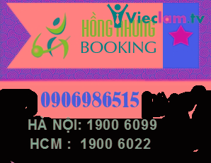 Logo Ban Ve May Bay Hong Nhung LTD