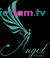 Logo Công Ty TNHH Người Mẫu Angel