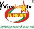 Logo Công ty Cổ phần Thương mại và Dịch vụ Về Nguồn