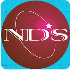 Logo NDSVIETNAM