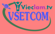 Logo Công Ty TNHH Điện Tử Viễn Thông Tin Học Việt Nam