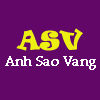 Logo Công Ty TNHH Thương Mại Dịch Vụ Ánh Sao Vàng