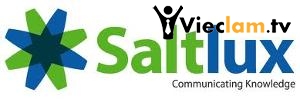 Logo Saltlux