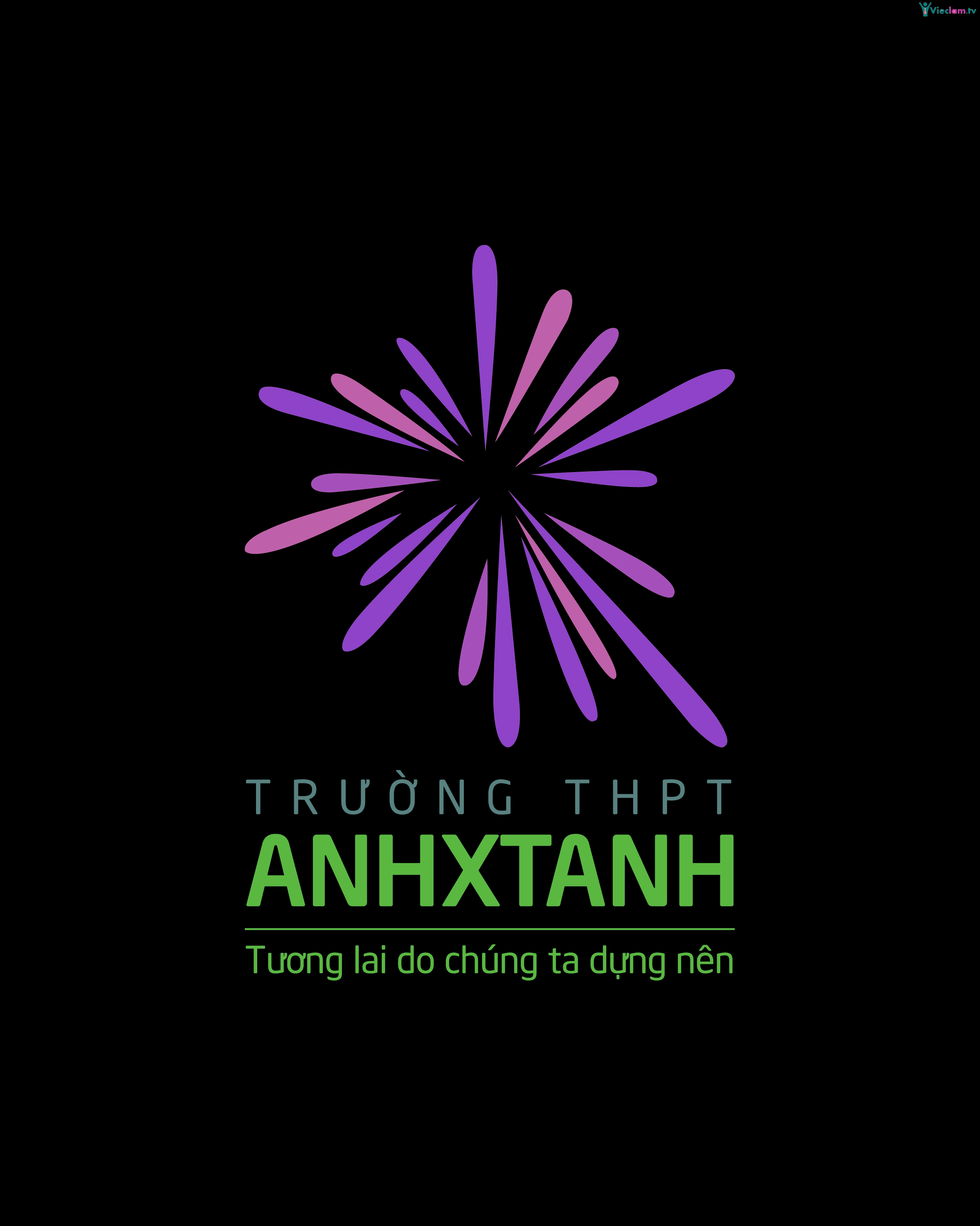 Logo Trường THPT Anhxtanh Hà Nội