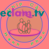 Logo Tu Van Nhip Cau Hanh Phuc LTD