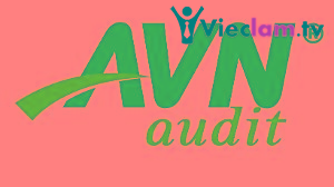 Logo Công ty TNHH Kiểm toán AVN Việt Nam