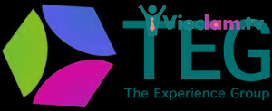 Logo Teg Consulting LTD