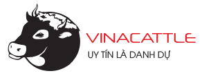 Logo Công ty Cổ phần Con giống VinaCattle