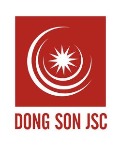 Logo Van Hoa Va Truyen Thong Dong Son Joint Stock Company