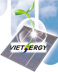 Logo Vietnergy LTD