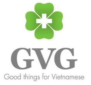 Logo Công Ty TNHH Giải Pháp Việt GVG