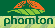 Logo Pham Ton LTD
