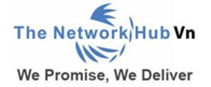 Logo The Network Hub VN, LTD