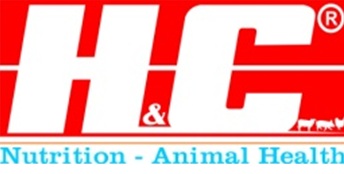 Logo Công ty TNHH H and C