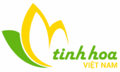 Logo Công ty CP Hội Tụ Tinh Hoa Việt