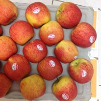 Logo Công ty TNHH MTV Sức Sống Xanh