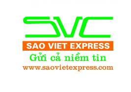 Logo Công ty Cổ Phần vận tải Quốc tế Sao Việt