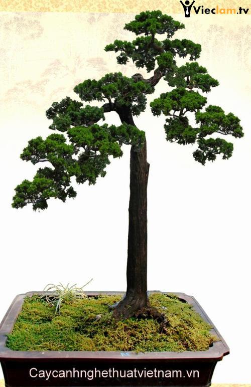 Logo Công ty cổ phần Khang An Logo Công ty cổ phần Khang An