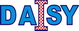 Logo Daisy Information Technology