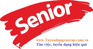Logo Công ty Dịch Vụ nhân sự Senior (website: Tuyendungcaocap.com.vn)