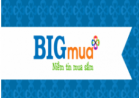 Logo Mạng Mua sắm Bigmua ( chi nhánh HCM)