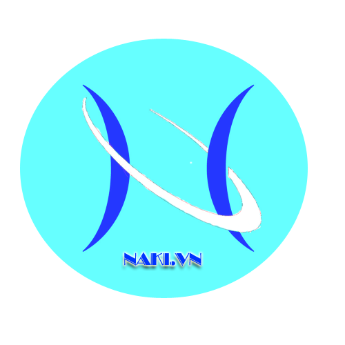 Logo TNHH THƯƠNG MẠI NAKI VIỆT NAM