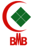 Logo BMB LTD