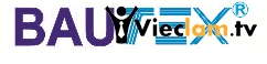 Logo Bautex Vina LTD