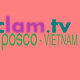 Logo Cty TNHH POSCO Việt Nam