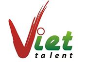 Logo Công Ty TNHH Nhân Lực Tài Năng Việt