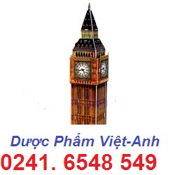 Logo CÔNG TY CP ĐẦU TƯ VÀ PHÁT TRIỂN QUỐC TẾ VIỆT ANH