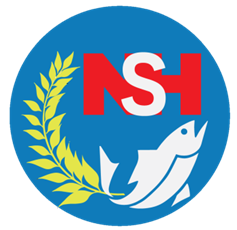 Logo Công ty TNHH Nam Sông Hồng