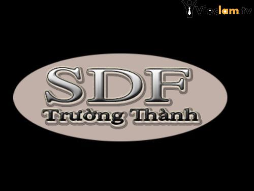 Logo Cong Nghe SDF Truong Thanh LTD