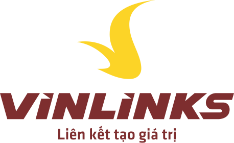 Logo Vinlinks Joint Stock Company