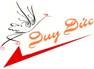 Logo CTY TNHH TMDV DUY ĐỨC