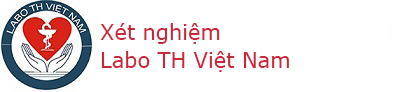 Logo LABO XÉT NGHIỆM Y TẾ TỔNG HỢP TH VIỆT NAM