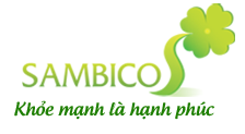 Logo Sambi LTD