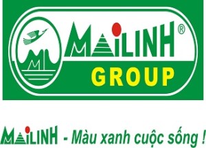 Logo Công ty TNHH Đầu Tư Quốc Tế Mai Linh