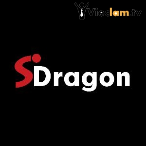 Logo Công ty TNHH Sdragon Việt Nam