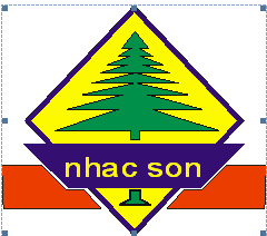 Logo Nhac Son LTD