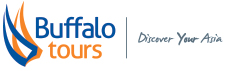 Logo Buffalo Tours